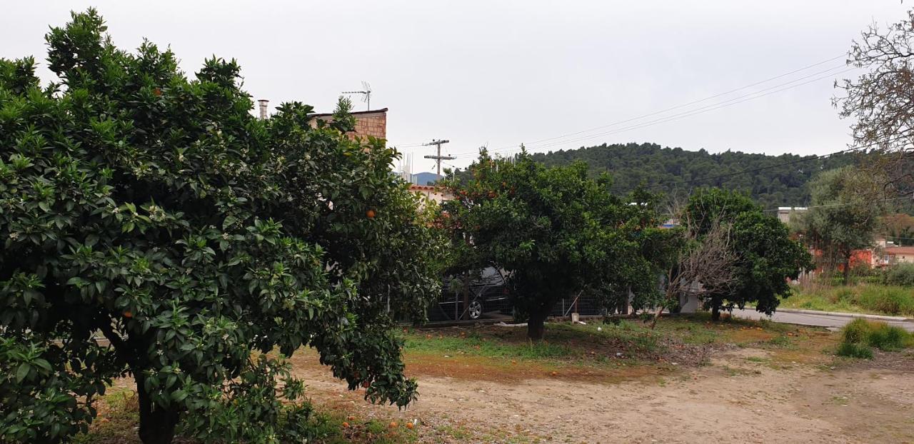 Walnut Home Apartment Near Ancient Olympia Kréstena 外观 照片